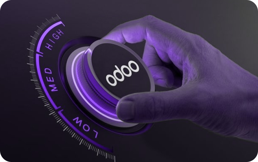 Bundo Tech - Why-choose-Us-for-your-odoo-implementation